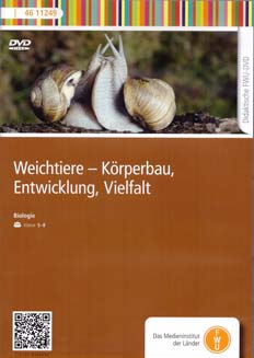 FWU 2017 Weichtiere - Körperbau Entwicklung Vielfalt